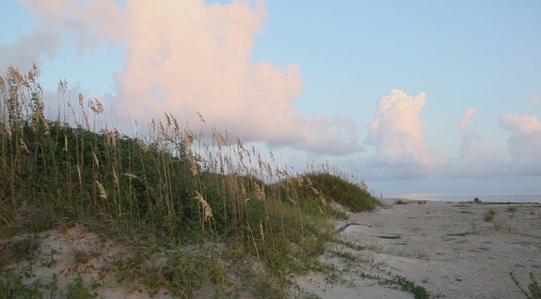 Thumbnail Image 13